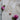 Pink Coin Pearl Necklace