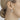 Infinity Earhoops - Magpie Jewellery